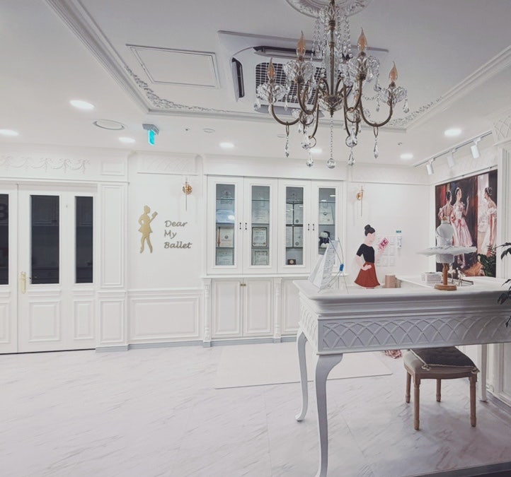 A Year at One Ballet Studio — photo 1
